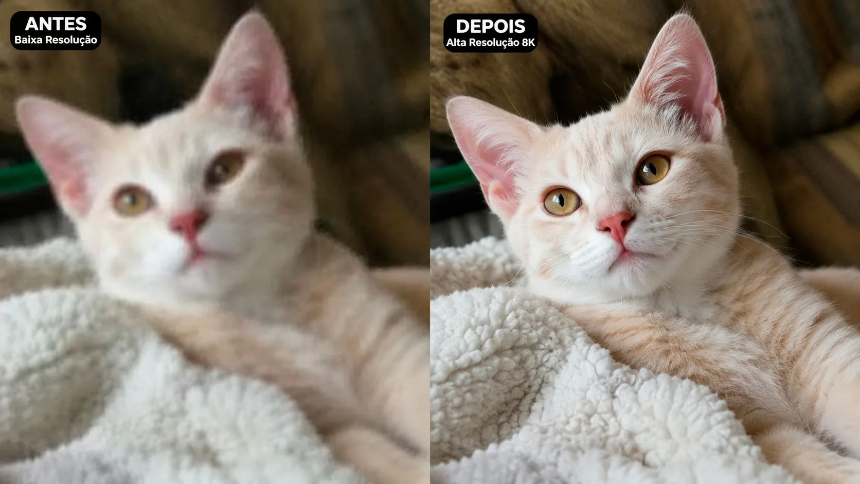 Melhore a Qualidade de Qualquer Foto com IA sem Alterar a Identidade — exemplo de prompt de IA para Imagens em ChatGPT